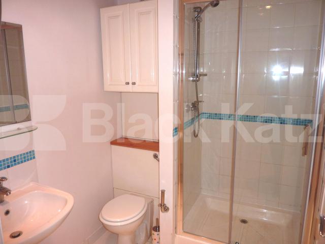 			NEW INSTRUCTION!, 1 Bedroom, 1 bath, 1 reception Flat			 Wicklow Street, KINGS CROSS